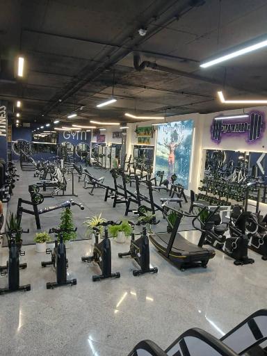 عکس جیم وی آی پی 