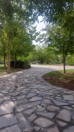 عکس پارک لاله