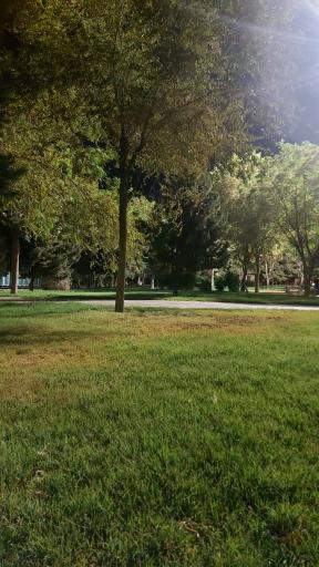 عکس پارک لاله