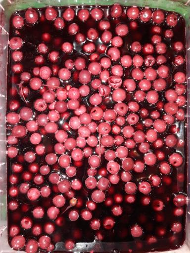 تاملی ترشی شیخ