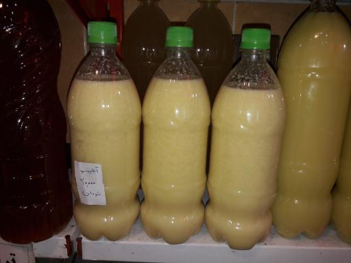 عکس تاملی ترشی شیخ