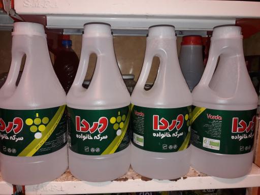 عکس تاملی ترشی شیخ