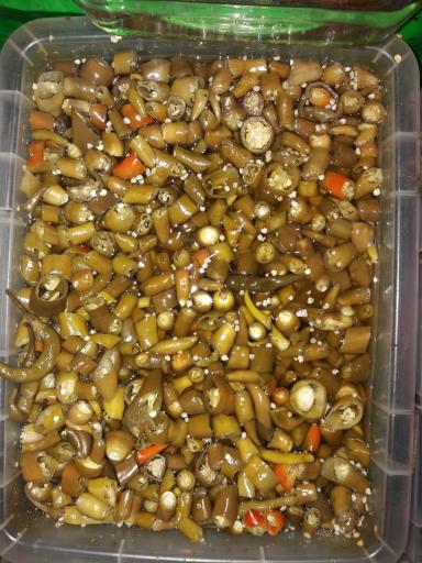 عکس تاملی ترشی شیخ