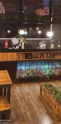 عکس گوریلا برگر