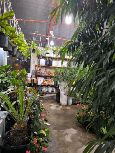 گلخانه باغ گل