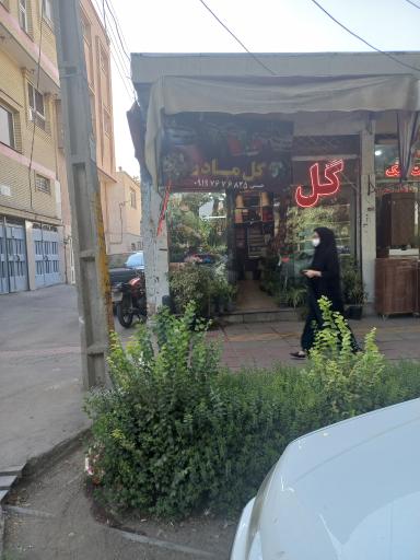 عکس گل مادر