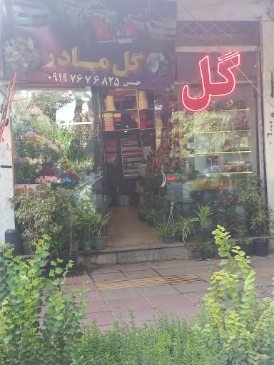 عکس گل مادر