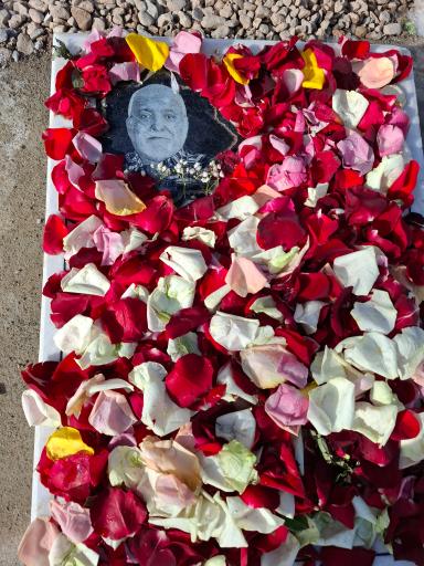 عکس آرامگاه شهید حمیدرضا مباشری