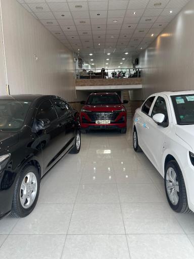 عکس اتوگالری پل