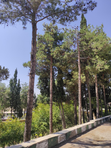 عکس مهمانسرای فتح المبین