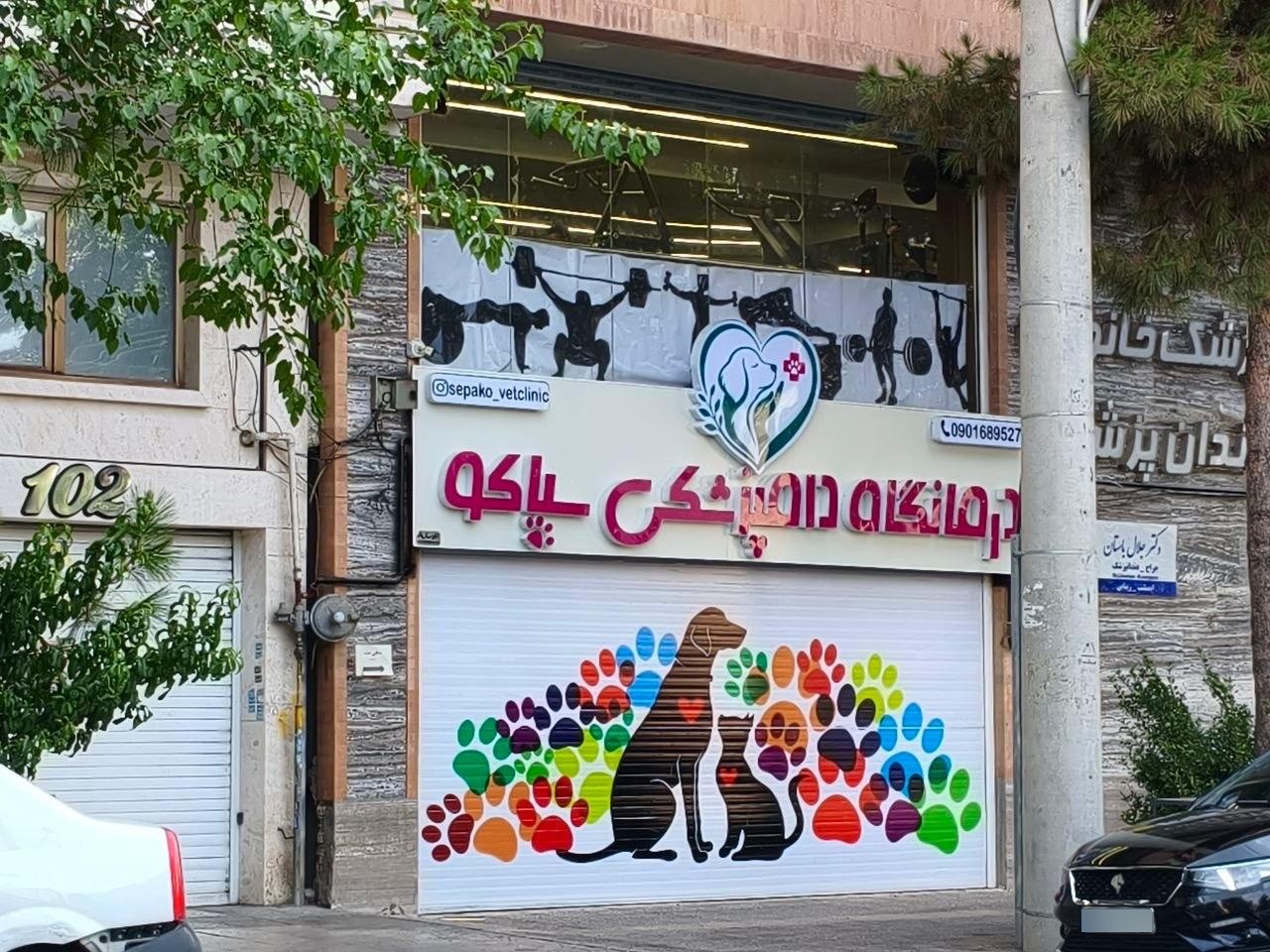 عکس کلینیک دامپزشکی سپاکو