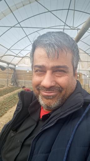 عکس گل وگیاه گلدشت 