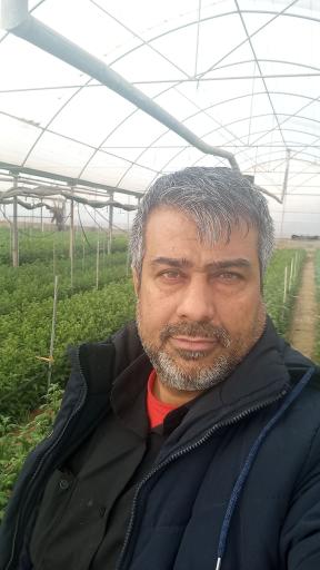 عکس گل وگیاه گلدشت 