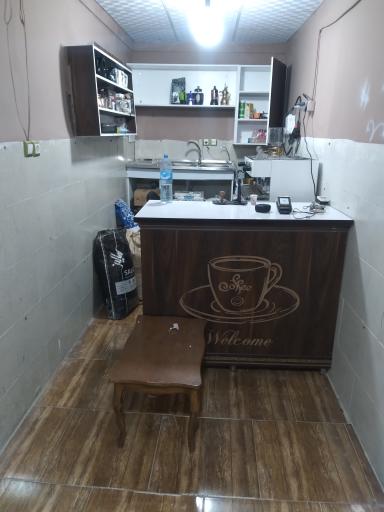 عکس قهوه نخل و آفتاب