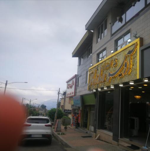 عکس رستوران گیلانی آویشو