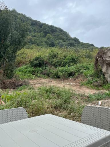 کافه سنتی چهلستون