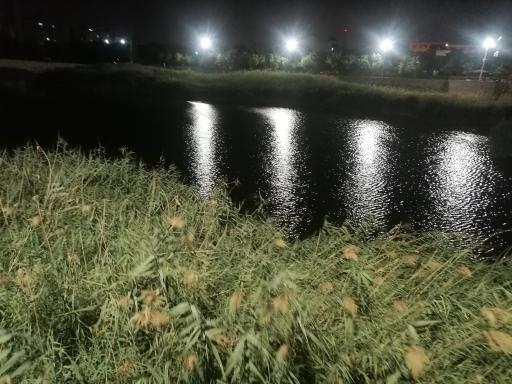 عکس پارک فروزان