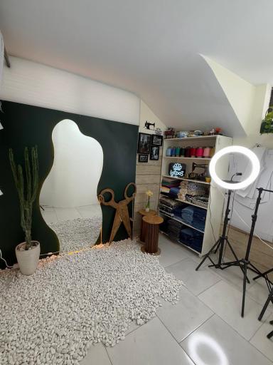 عکس کارگاه لوتوس 