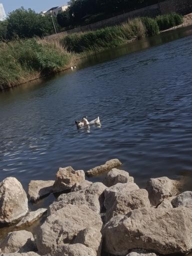 پارک فروزان