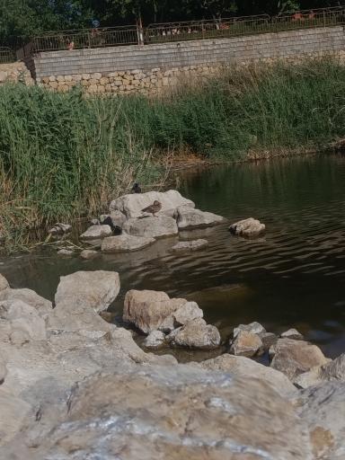 عکس پارک فروزان