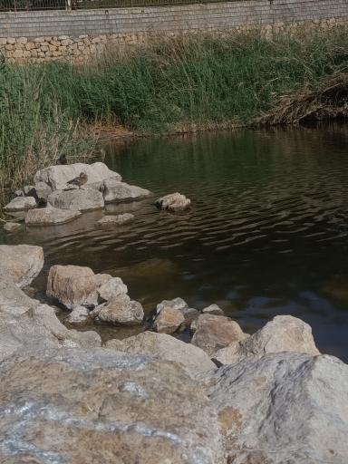 پارک فروزان