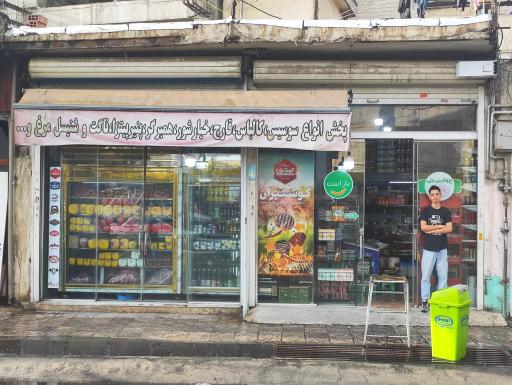 عکس پخش پروتئینی منصوری