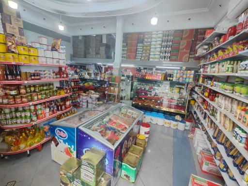 عکس پخش پروتئینی منصوری