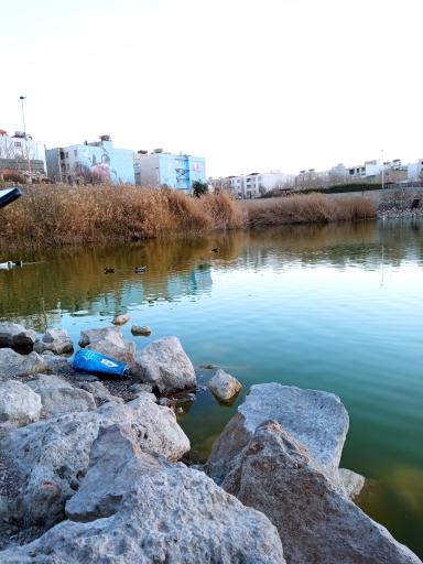 عکس پارک فروزان