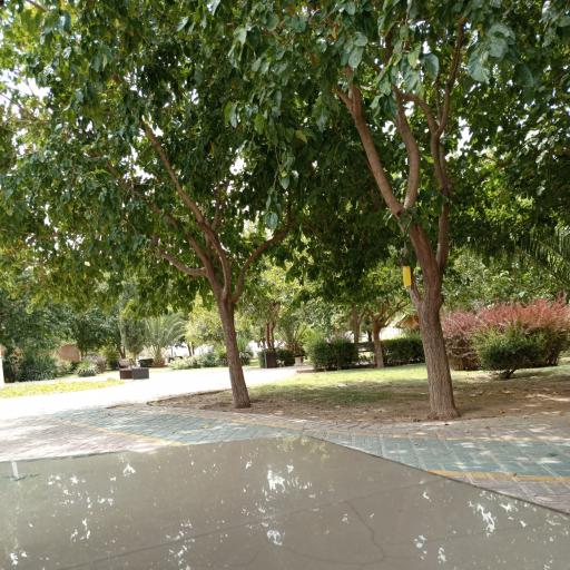 عکس پارک فروزان ماهی سیبیل