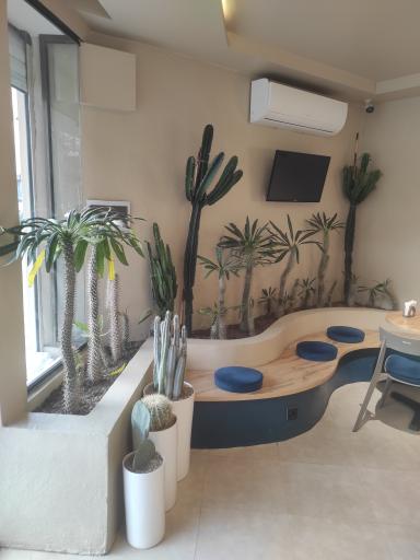 عکس کافه نات