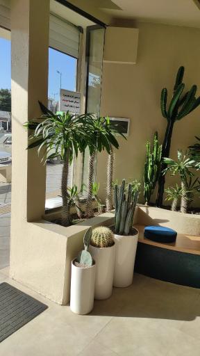 عکس کافه نات