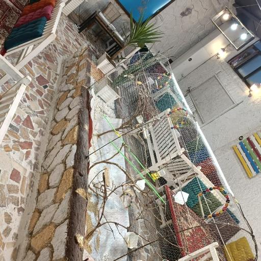 عکس رستوران آقا کبابی 