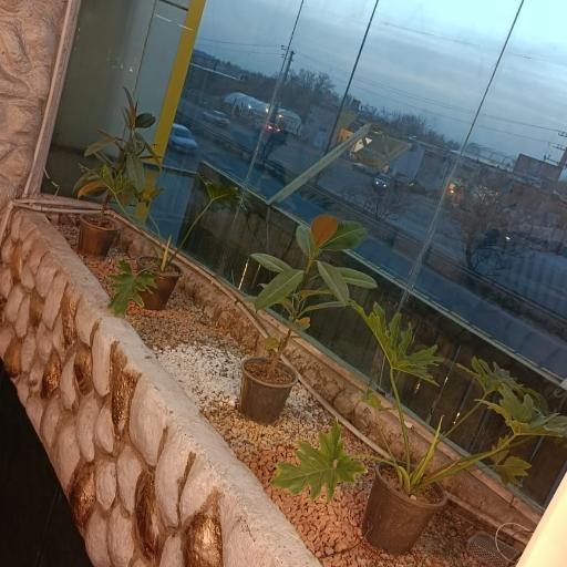 عکس رستوران آقا کبابی 