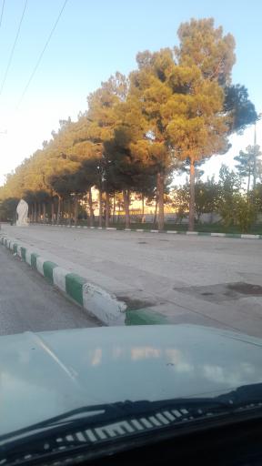 عکس پارک پامچال