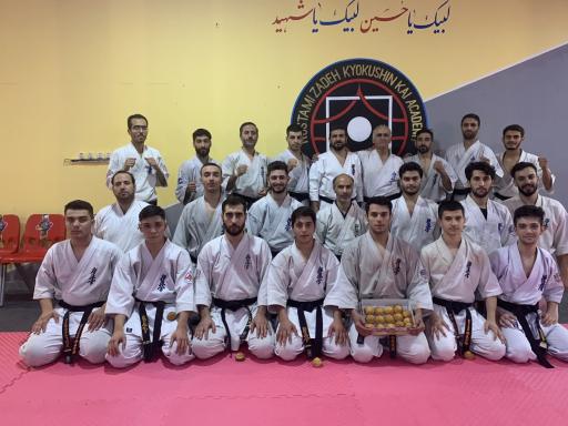 عکس باشگاه آکادمی کیوکوشین رستمی زاده 