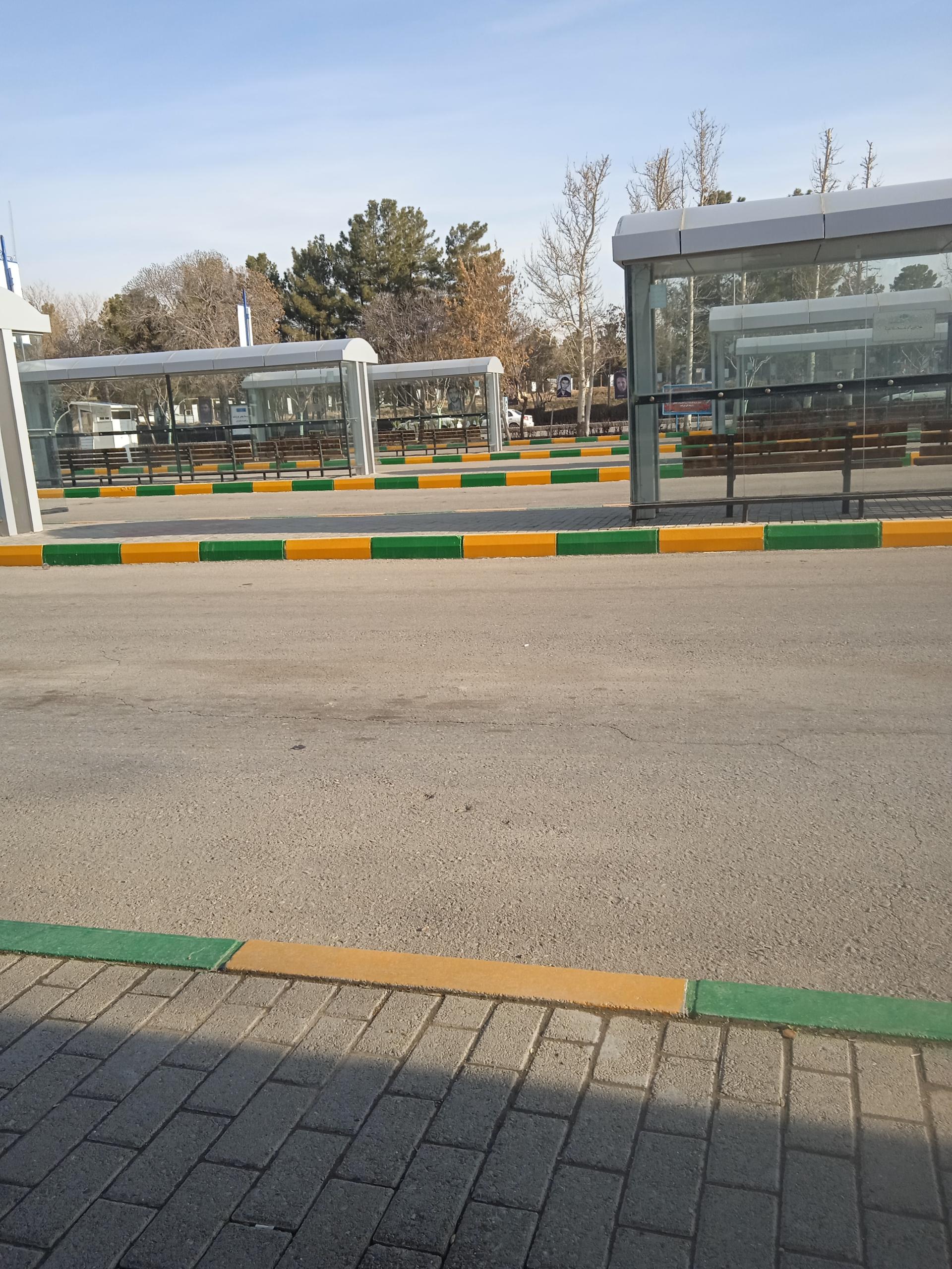 عکس  آلاله 7