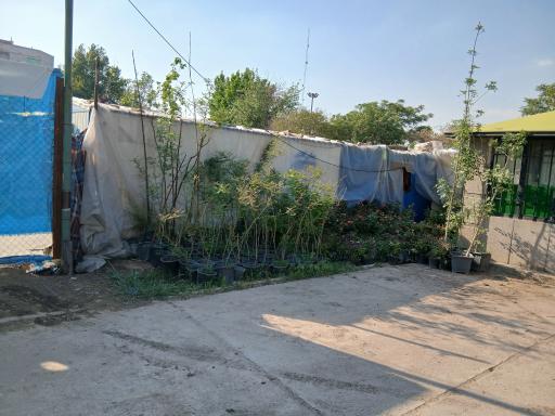 عکس گل خانه شهرداری