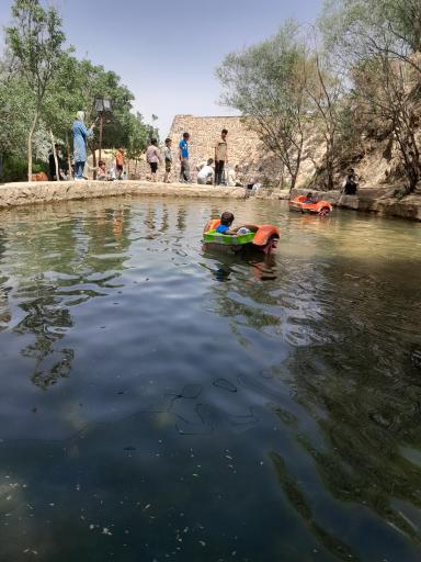 عکس بوستان گل رز