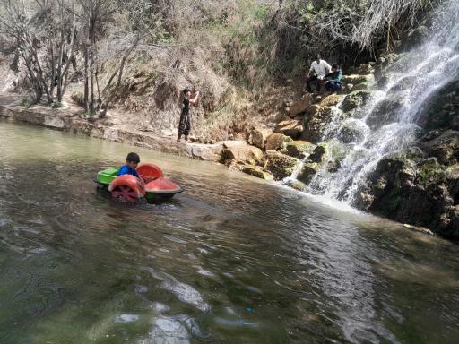 بوستان گل رز