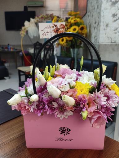 عکس مجموعه تالارهای دوکوهه (شرق)