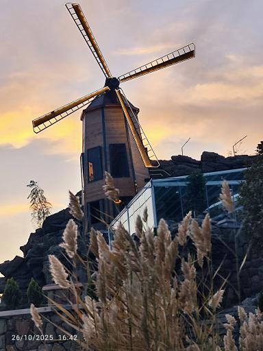 عکس کافه رستوران بل وو