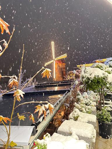 عکس کافه رستوران بل وو