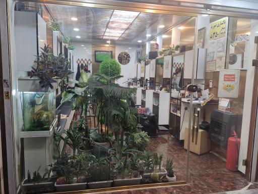 عکس پیرایش فرشید