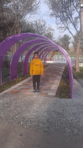 عکس پارک پامچال