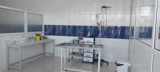 عکس دامپزشکی دکتر خلج