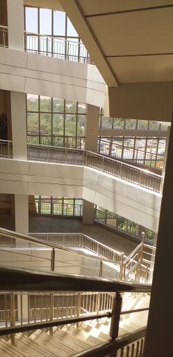 عکس مجتمع نگارستان شهرداری