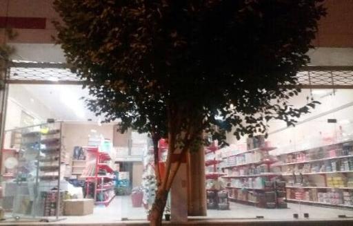 عکس نگین پلاسکو کویر