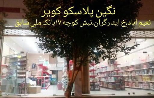 عکس نگین پلاسکو کویر