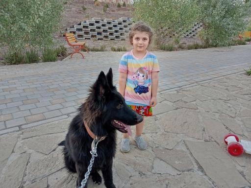 عکس بوستان مشاهیر