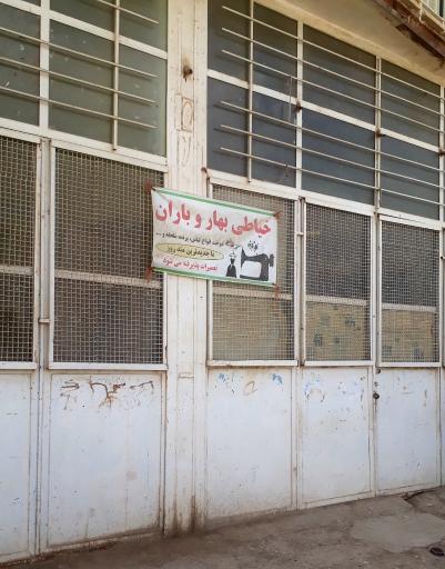 عکس خیاطی بهار و باران 